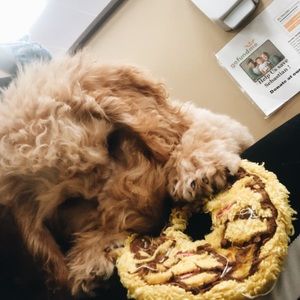 Meet your Posher, Alejandra